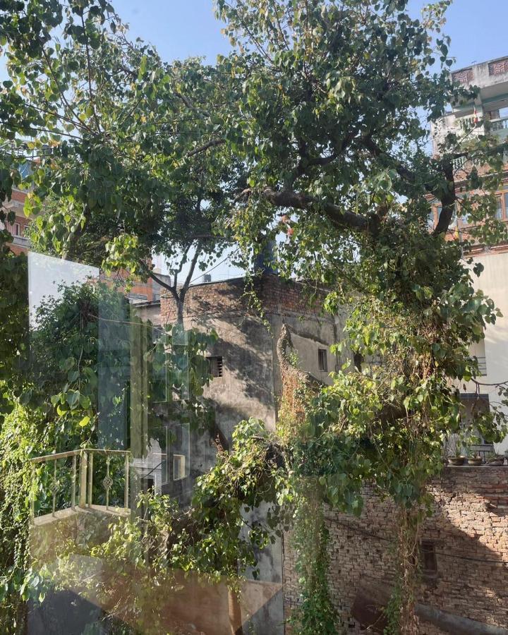 Rooftop Studio And 2Bhk Apartments In Kathmandu'S Most Happening Place Екстер'єр фото